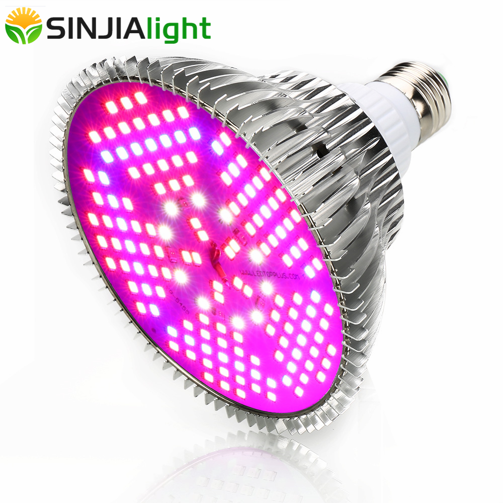 Aquarium Plant Seeds - 100W Full Spectrum LED Grow Light