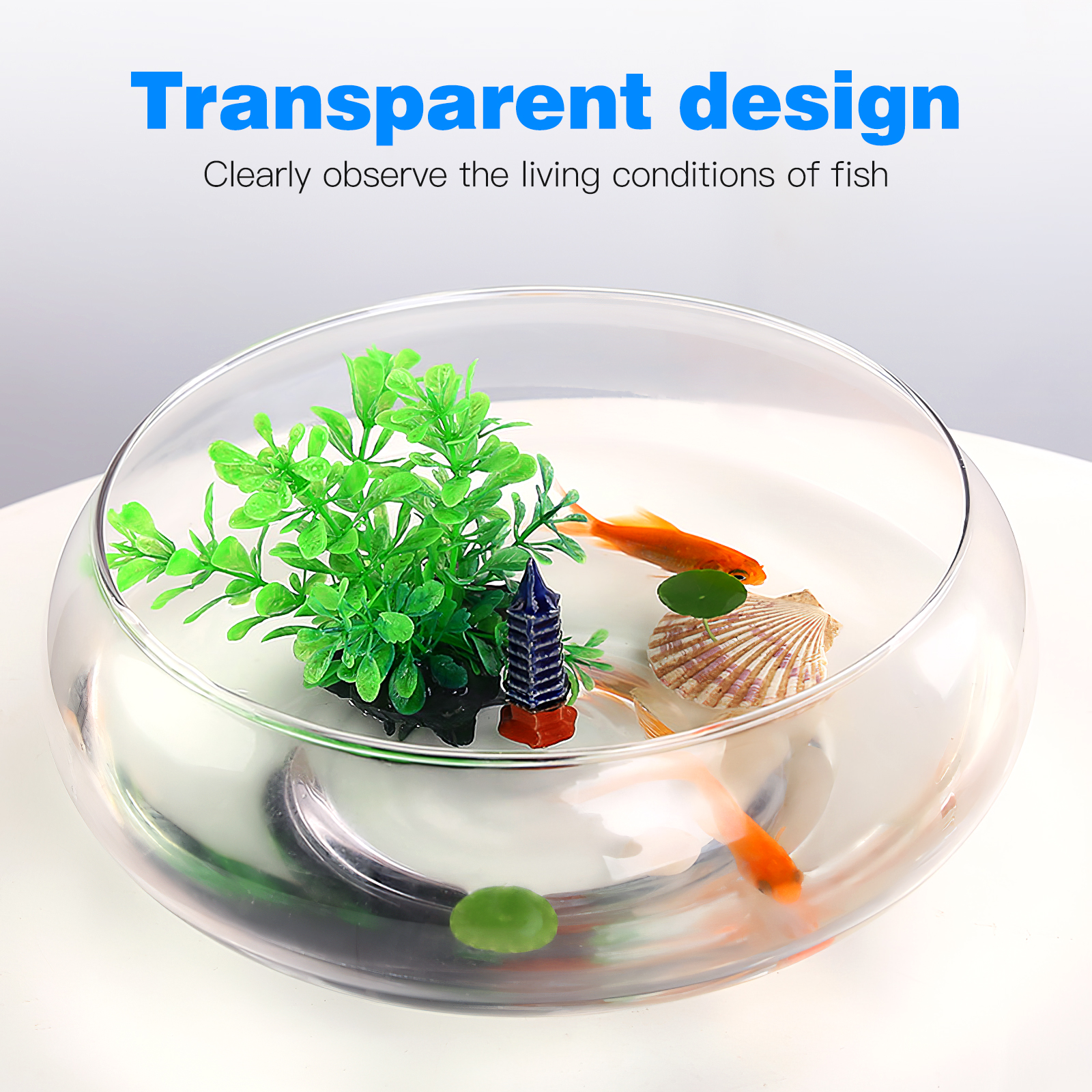 Planted Aquarium For Goldfish - Aquarium Tank 2800ml Fish Tank Desktop