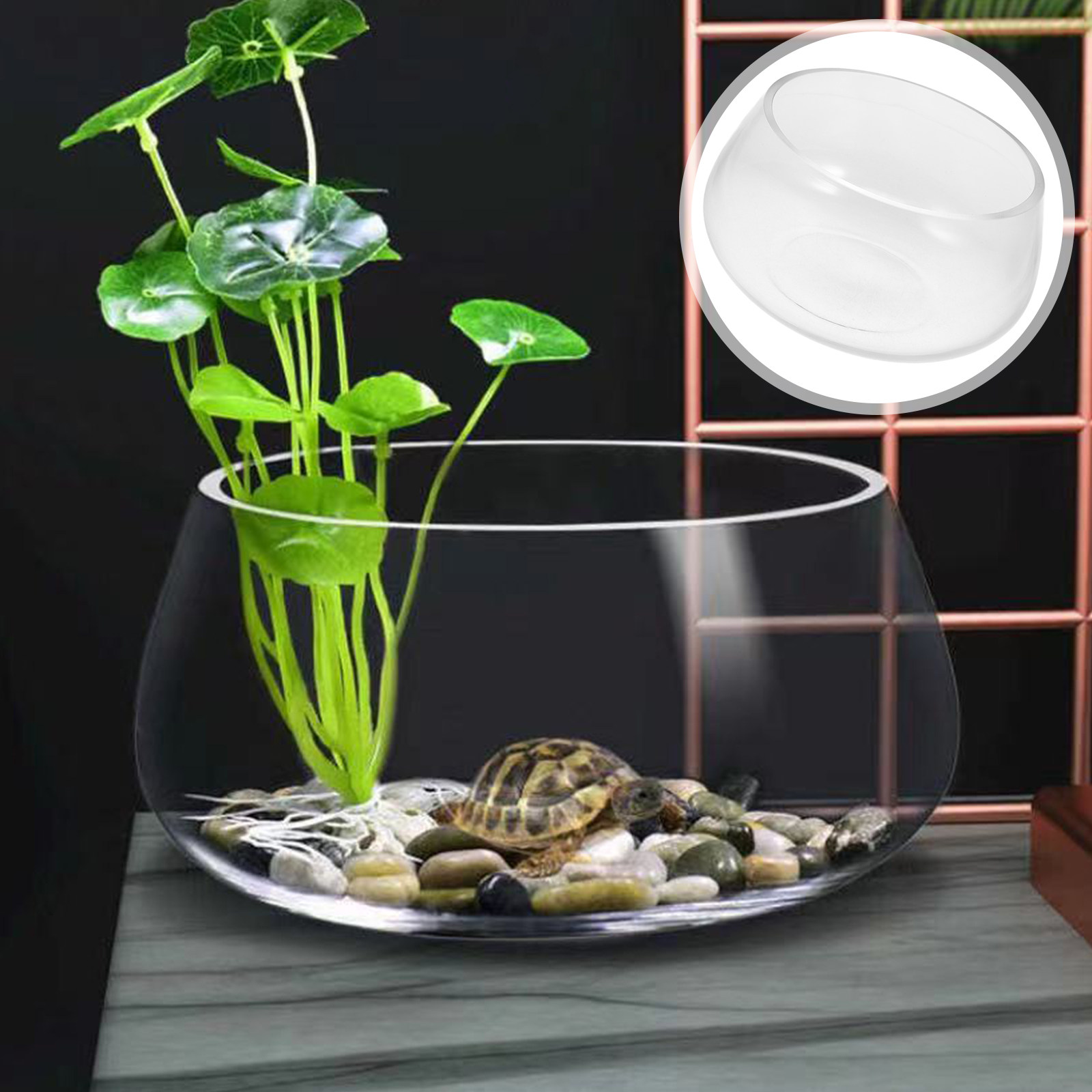 Planted Aquarium For Goldfish - Round Mini Aquarium Tank Clear Glass