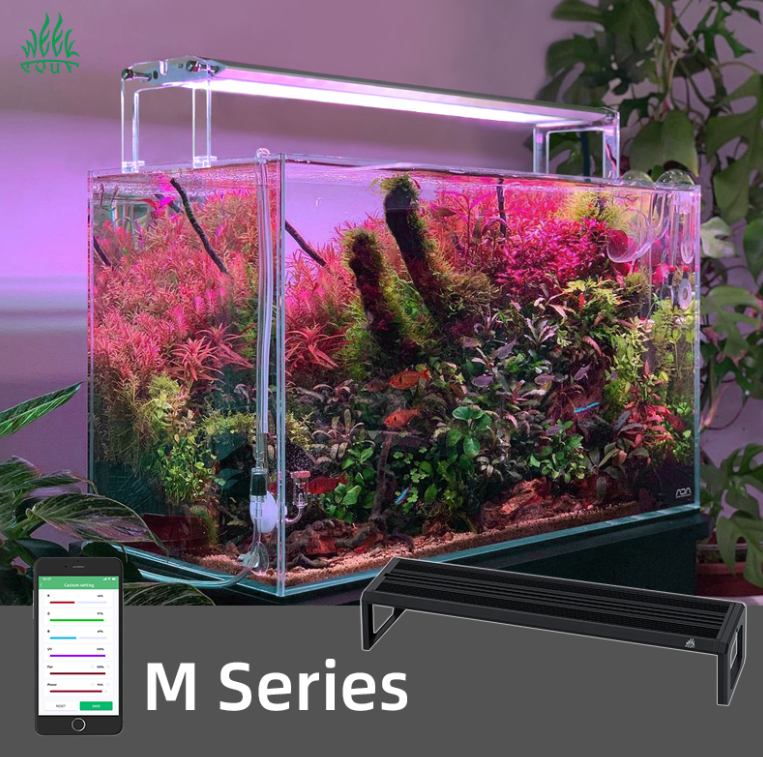 Planted Aquarium Products - WEEK AQUA M Series 400mm Aquarium