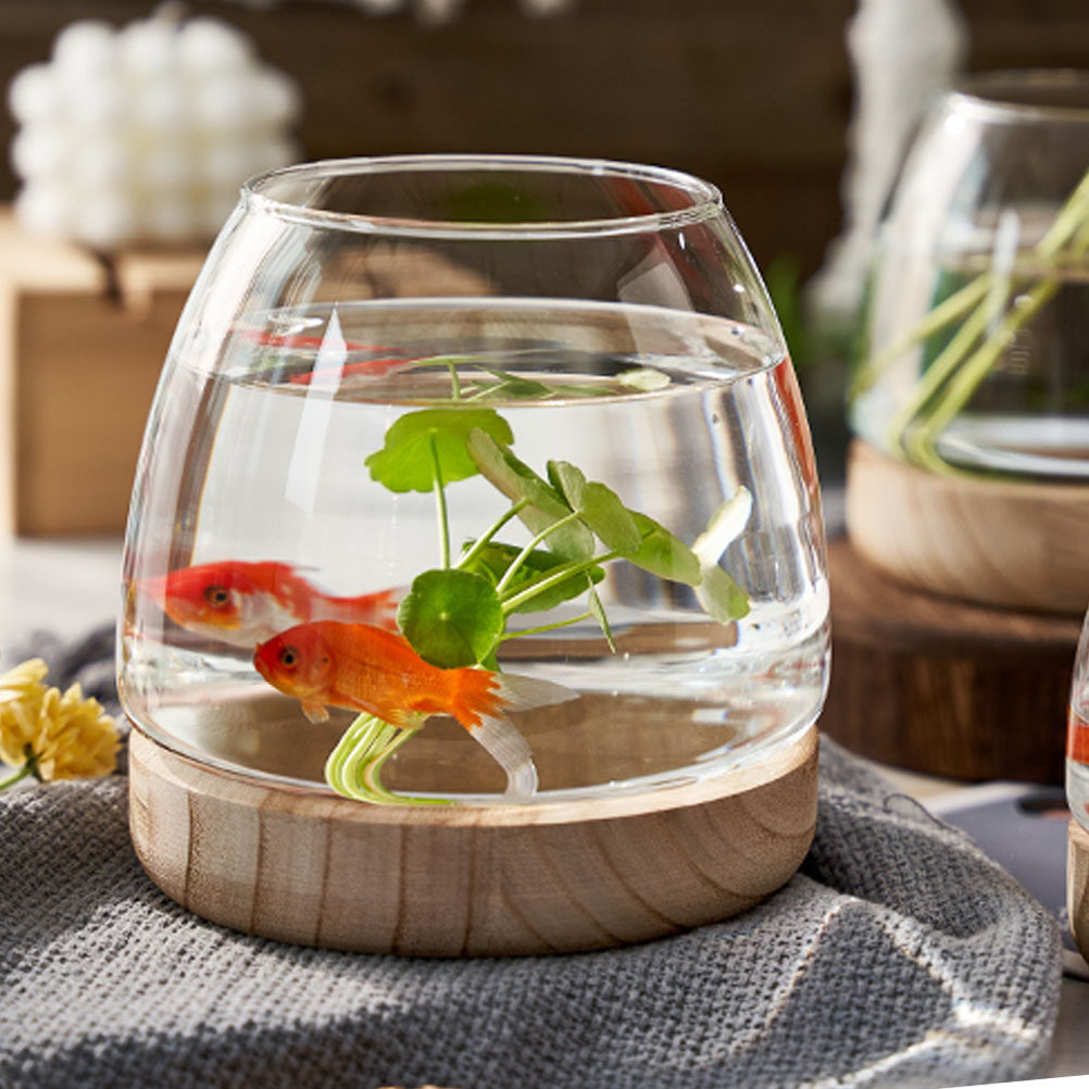 Aquarium Planted - 1Set Wooden Base Glass Hydroponic Planter