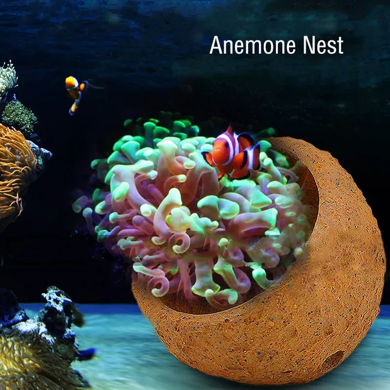 Anemone Nest Prevent Running A – Aquarium Planted Tank Soil Bewertung und Preis