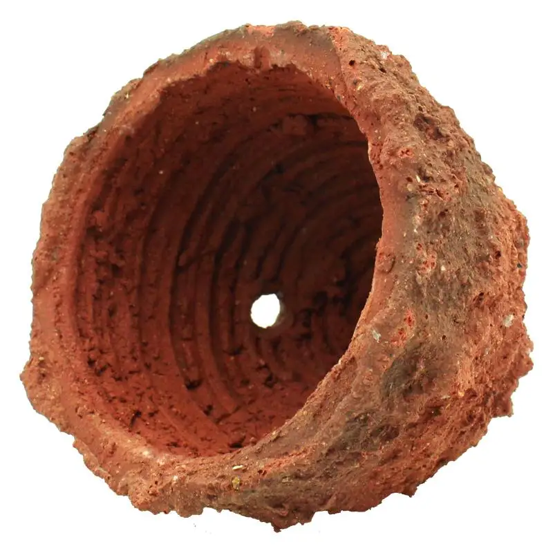 Anemone Nest Prevent Running A – Aquarium Planted Tank Soil Bewertung und Preis