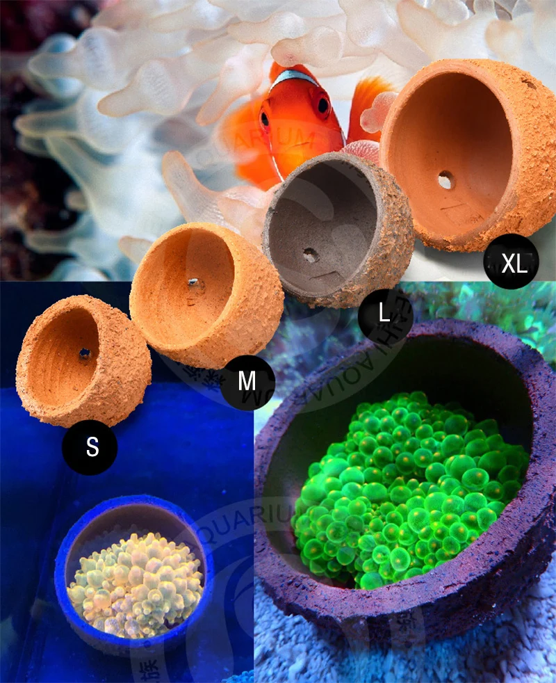 Anemone Nest Prevent Running A – Aquarium Planted Tank Soil Bewertung und Preis
