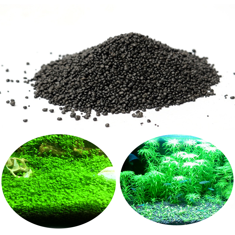 Aquarium Water Grass Mud Plant – Aquarium Plant Seeds Bewertung und Preis