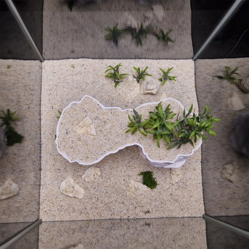 Aquarium 3D Printed Planting B – Aquarium Planted Tank Soil Bewertung und Preis