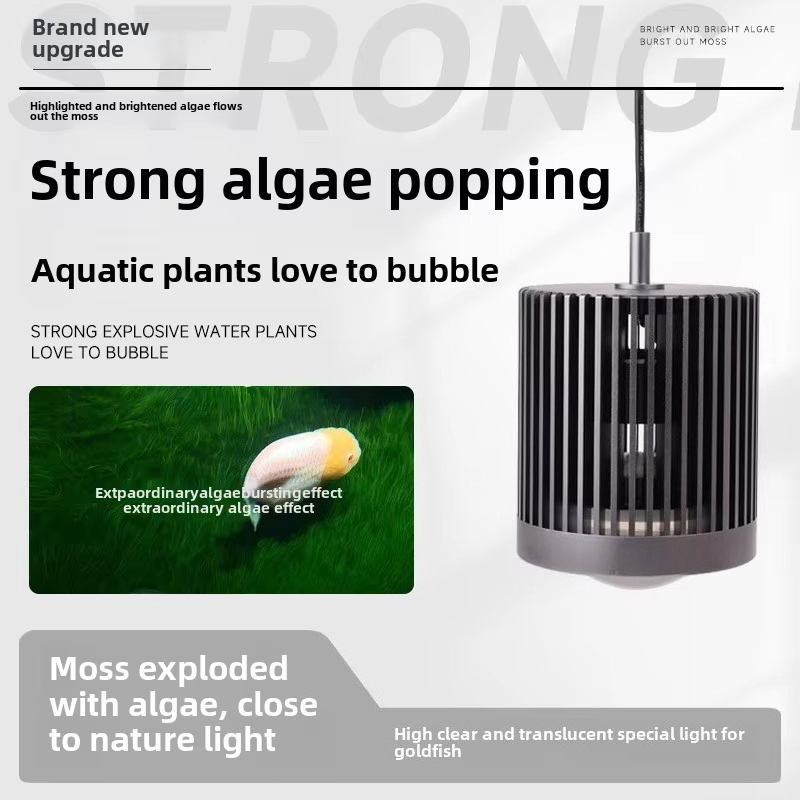 skynuo Super Colour 100W Fresh – Planted Aquarium For Goldfish Bewertung und Preis