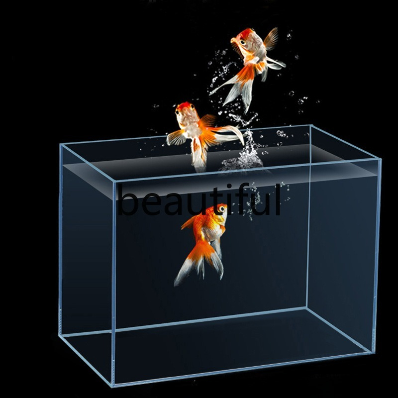 Jinjing ultra-white glass fish – Planted Aquarium For Goldfish Bewertung und Preis