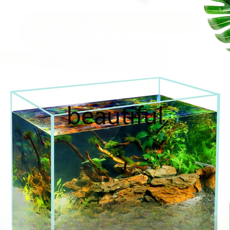 Jinjing ultra-white glass fish – Planted Aquarium For Goldfish Bewertung und Preis