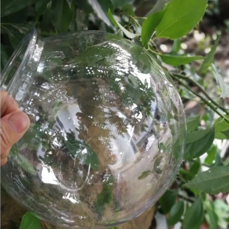 Goldfish bowl desktop transpar – Planted Aquarium For Goldfish Bewertung und Preis