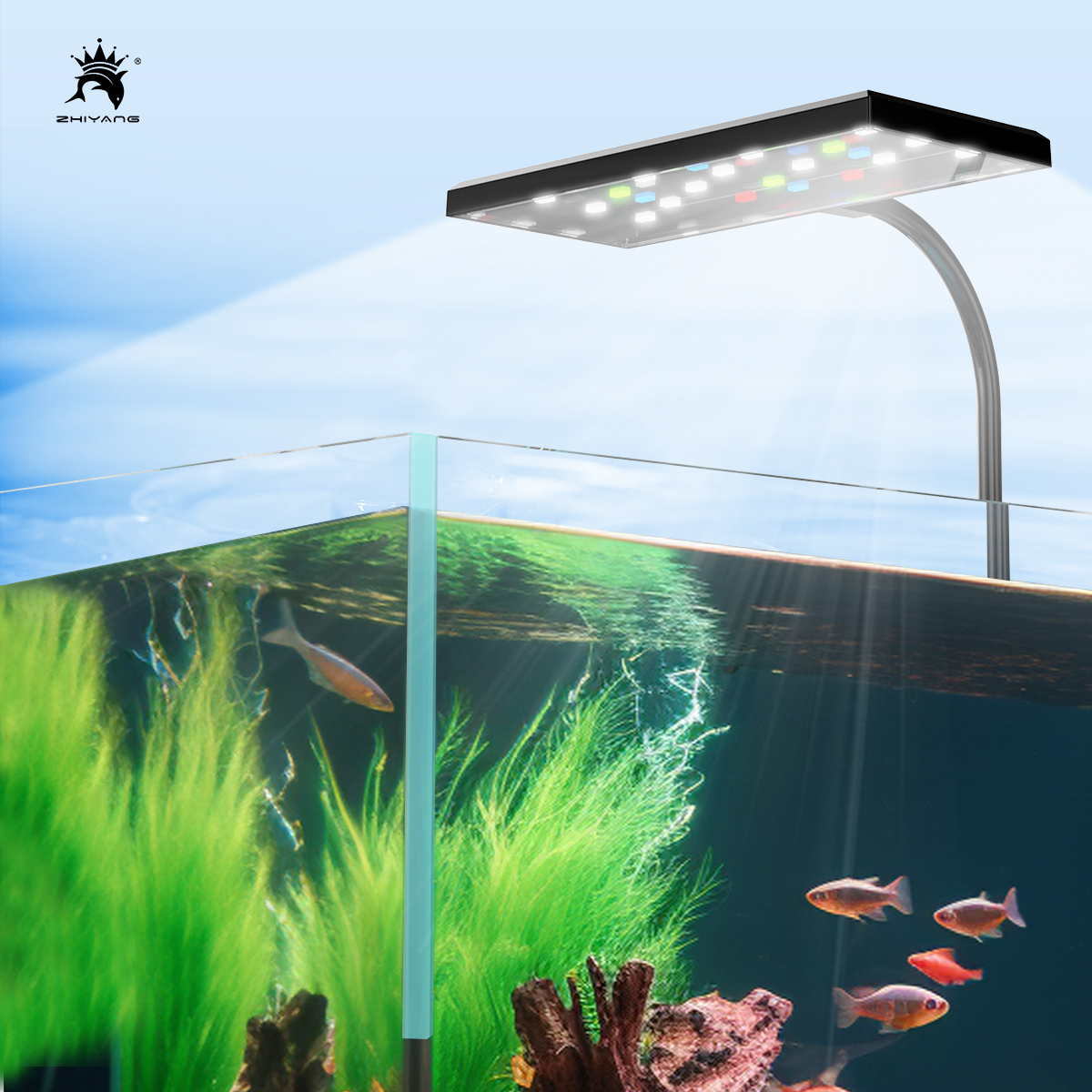 110-240V Aquarium Fish Tank Ba – Aquarium Plant Seeds Bewertung und Preis