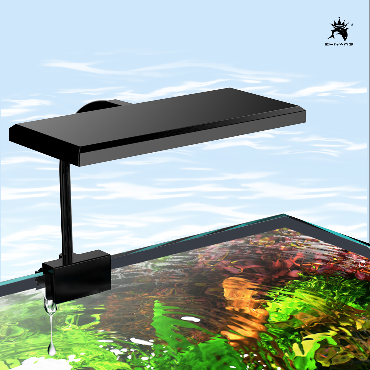 110-240V Aquarium Fish Tank Ba – Aquarium Plant Seeds Bewertung und Preis