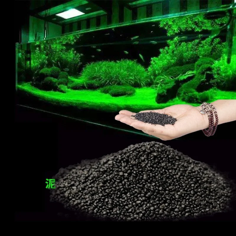 500g Fish Tank Water Plant Fer – Aquarium Planted Tank Soil Bewertung und Preis