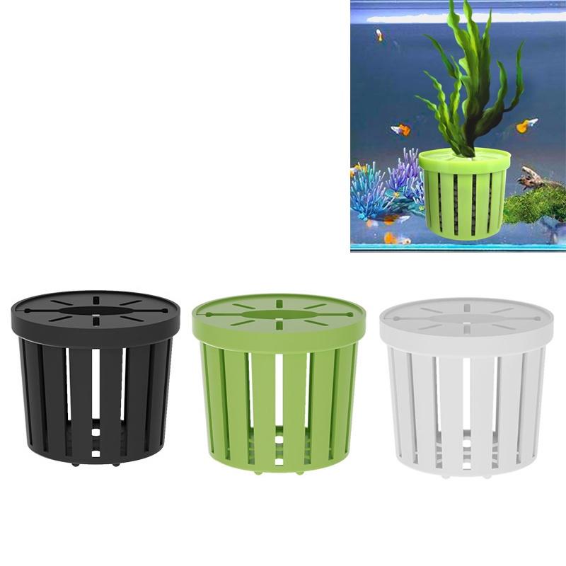 4Pcs Pet Fish Tank Landscaping – Aquarium Planted Bewertung und Preis