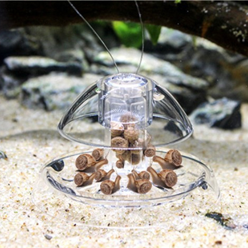 1PCS Fish Tank Aquarium Cleane – Planted Aquarium Products Bewertung und Preis