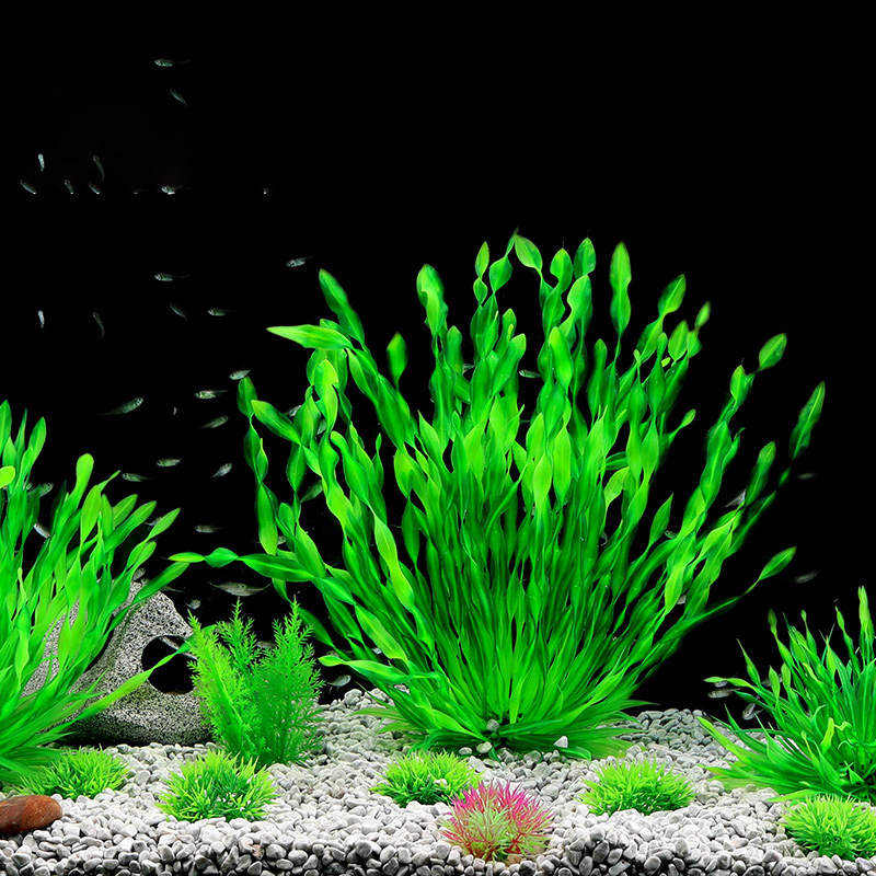 13/23/32/36/40cm Aquarium Arti – Aquarium Plant Seeds Bewertung und Preis