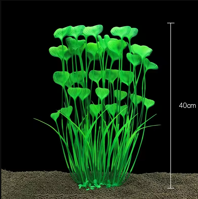 13/23/32/36/40cm Aquarium Arti – Aquarium Plant Seeds Bewertung und Preis