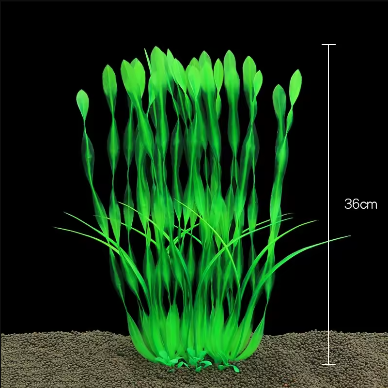 13/23/32/36/40cm Aquarium Arti – Aquarium Plant Seeds Bewertung und Preis
