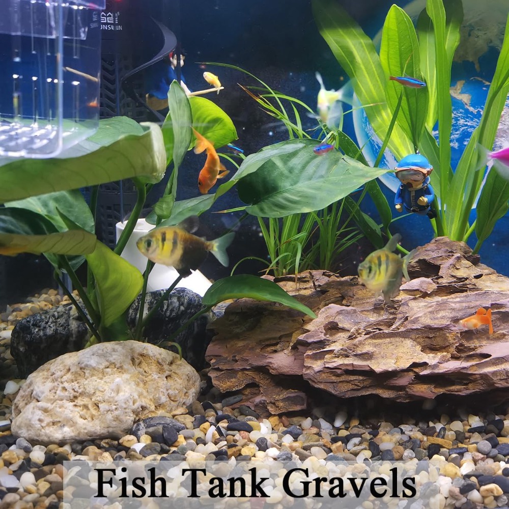 5 lbs Aquarium Gravel, Pea Gra – Aquarium Planted Tank Soil Bewertung und Preis