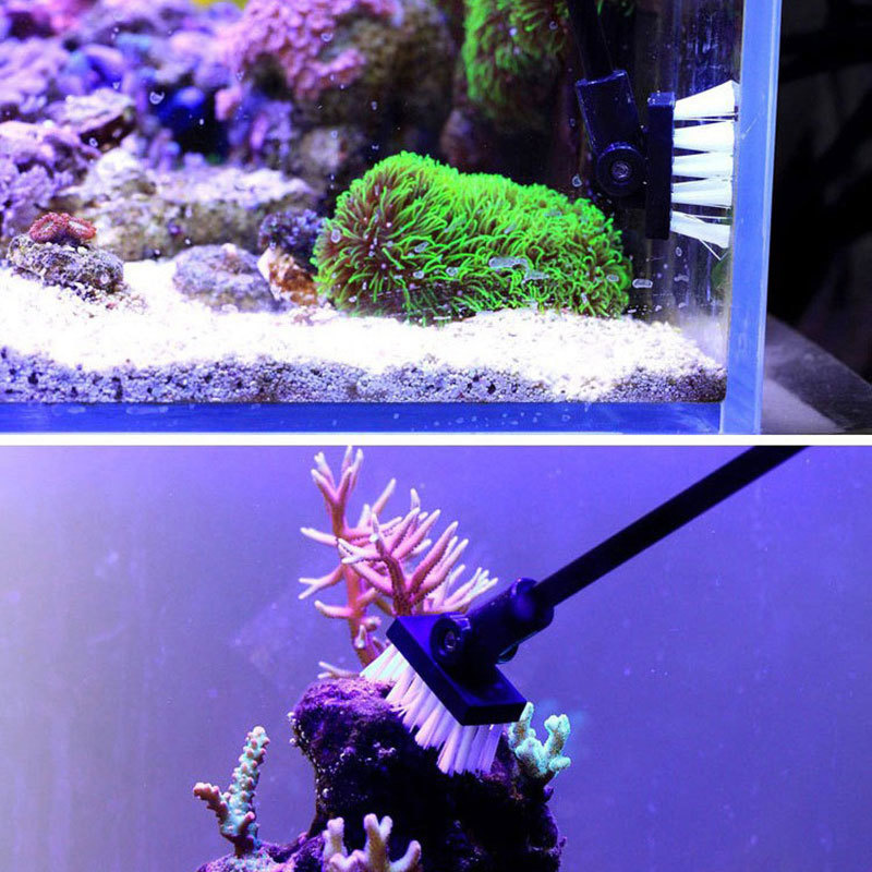 Fishing Cleaning Brush Plant T – Planted Aquarium Products Bewertung und Preis