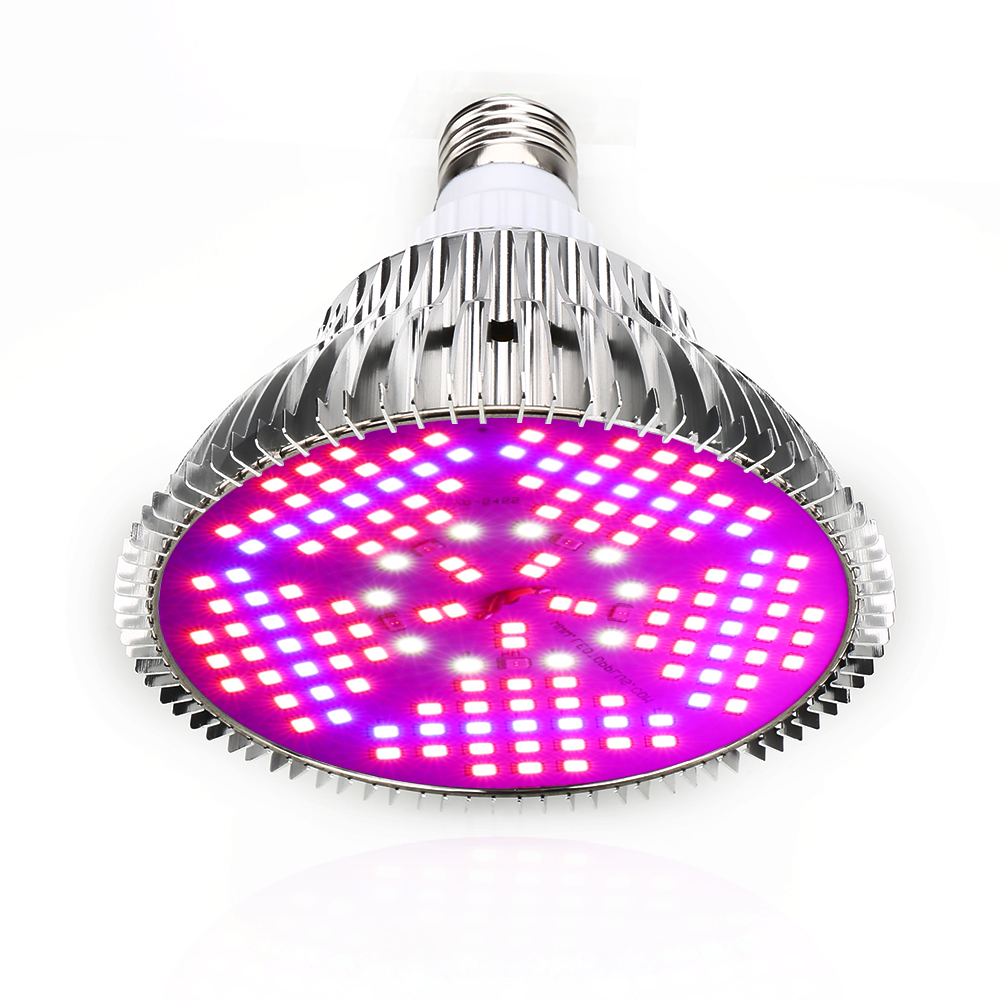 100W Full Spectrum LED Grow Li – Aquarium Plant Seeds Bewertung und Preis