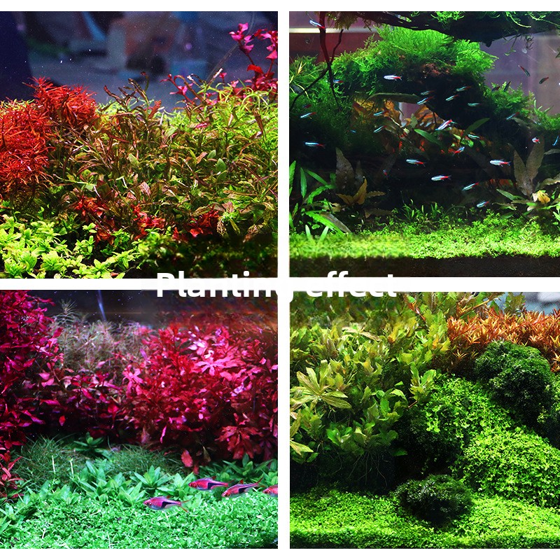 SYSENCIAGA Planted Aquarium Su – Aquarium Plant Fertilizer Bewertung und Preis