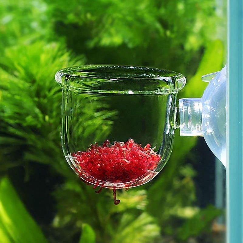 Acrylic Aquatic Plant Cup Aqua – Aquarium Plant Seeds Bewertung und Preis