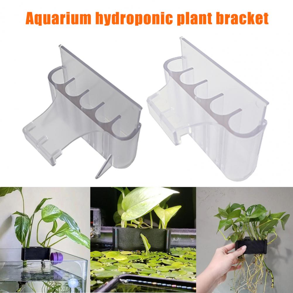 4.5/6.5cm Aquarium Plant Holde – Aquarium Planted Fish Tank Bewertung und Preis