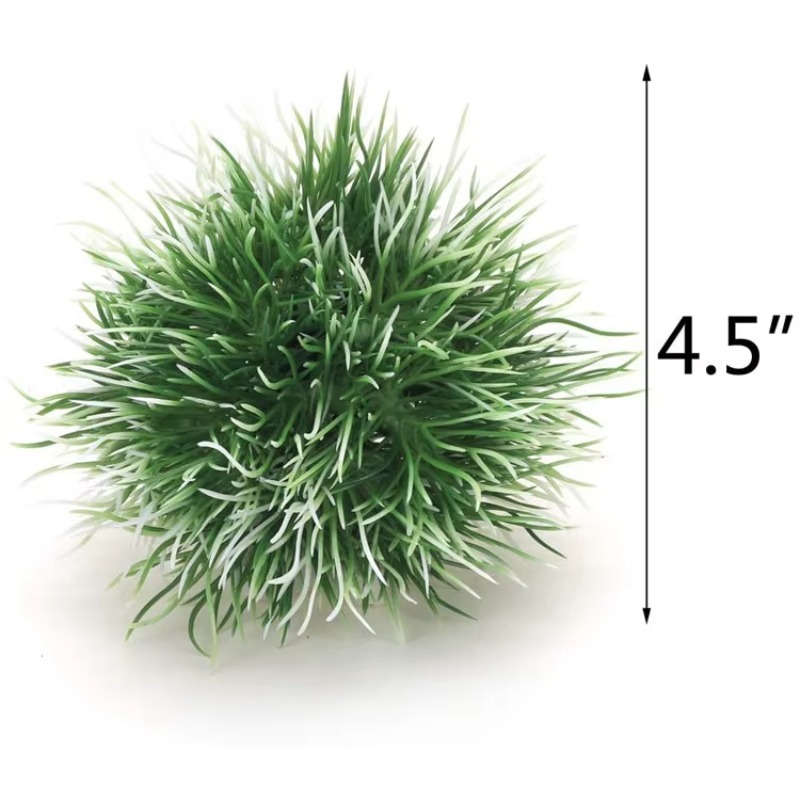 10pcs Hot Selling New Arrival  – Aquarium Plants For Sale Bewertung und Preis