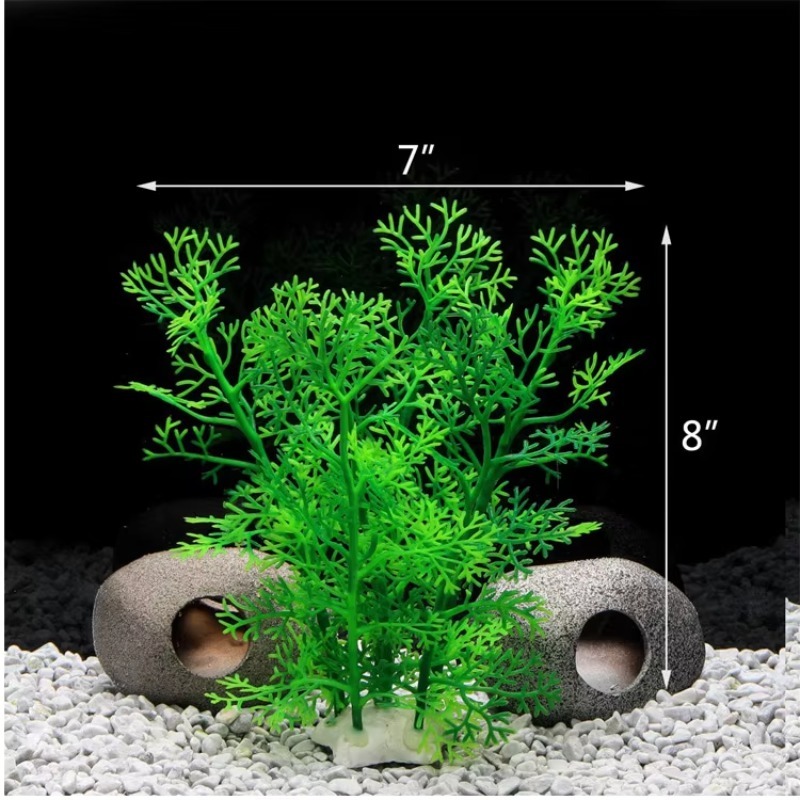10pcs Hot Selling New Arrival  – Aquarium Plants For Sale Bewertung und Preis