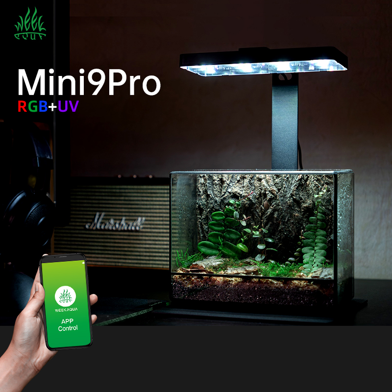 Hot Sale Mini9pro Nano Terrari – Aquarium Plants For Sale Bewertung und Preis