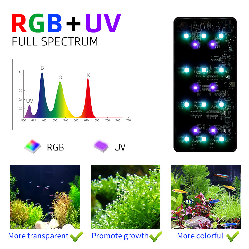 Hot Sale Mini9pro Nano Terrari – Aquarium Plants For Sale Bewertung und Preis