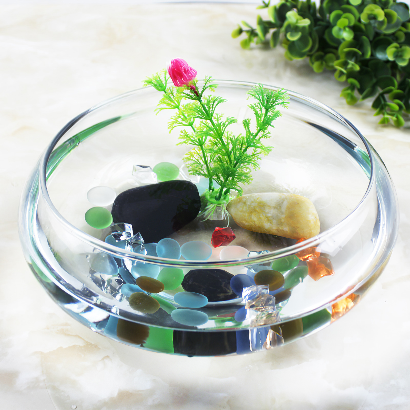 Aquarium Tank 2800ml Fish Tank – Planted Aquarium For Goldfish Bewertung und Preis