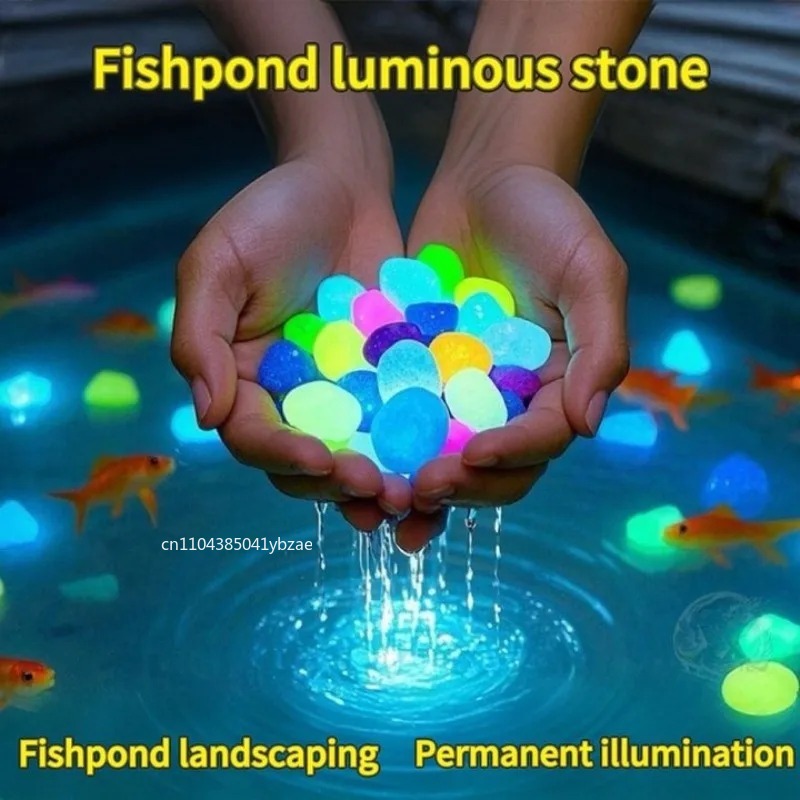 100-800pcs Glow in The Dark Pe – Aquarium Planted Bewertung und Preis