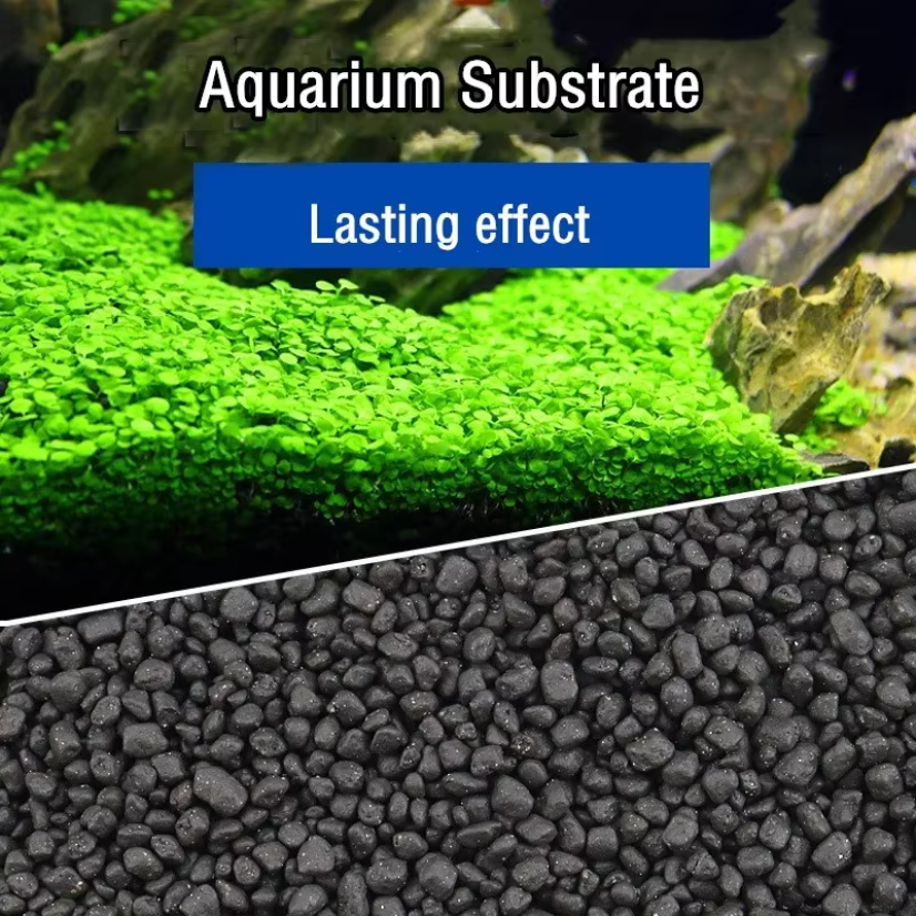 500g Aquarium Planted Soil Sub – Aquarium Plant Fertilizer Bewertung und Preis