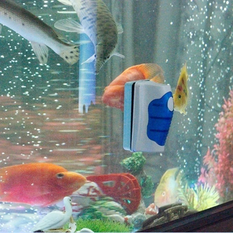 Fish Tank Glass Scraper Cleane – Planted Aquarium Products Bewertung und Preis