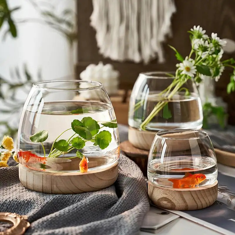 Decorative Round Glass Fish Ta – Planted Aquarium For Goldfish Bewertung und Preis