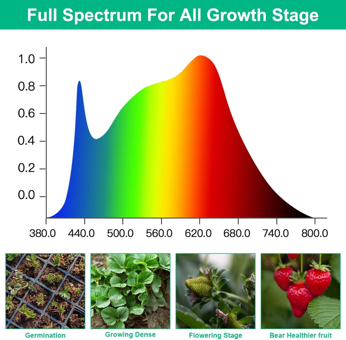 LED Grow Lamps Plant Full Spec – Aquarium Plant Seeds Bewertung und Preis