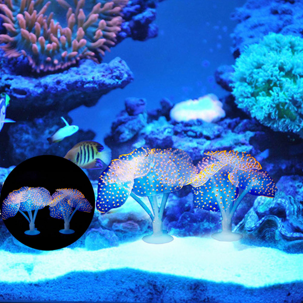 1Pcs Luminous Anemone Artifici – Aquarium Planted Fish Tank Bewertung und Preis
