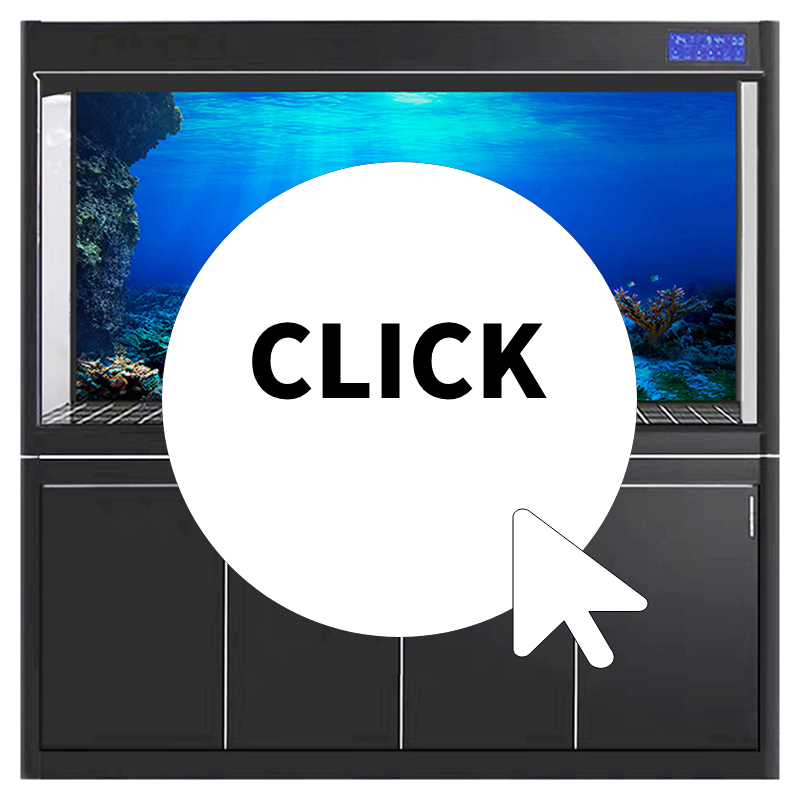 Fish Tank Background Decorativ – Aquarium Planted Fish Tank Bewertung und Preis