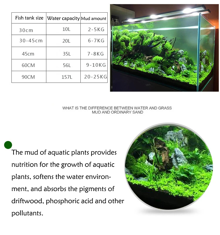 Fish Tank Water Grass Mud Plan – Aquarium Plant Seeds Bewertung und Preis