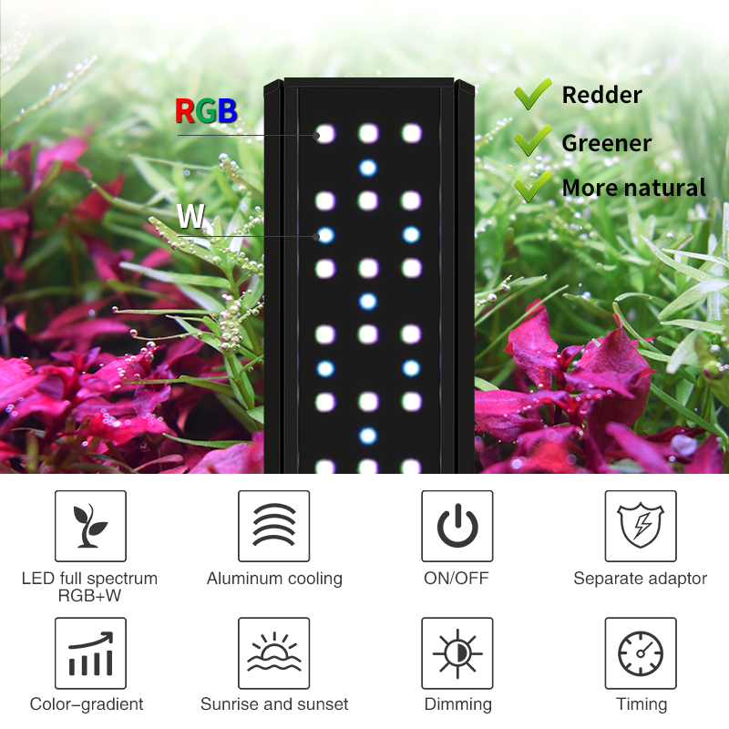 ZXY Hot Sale WEEKAQUA V400 WRG – Aquarium Plants For Sale Bewertung und Preis
