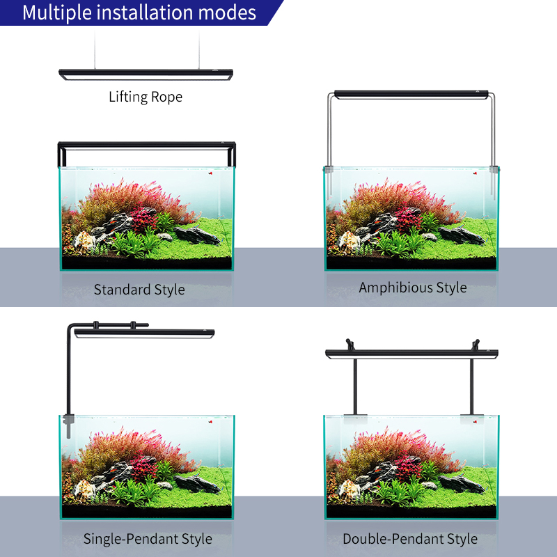 ZXY Hot Sale WEEKAQUA V400 WRG – Aquarium Plants For Sale Bewertung und Preis