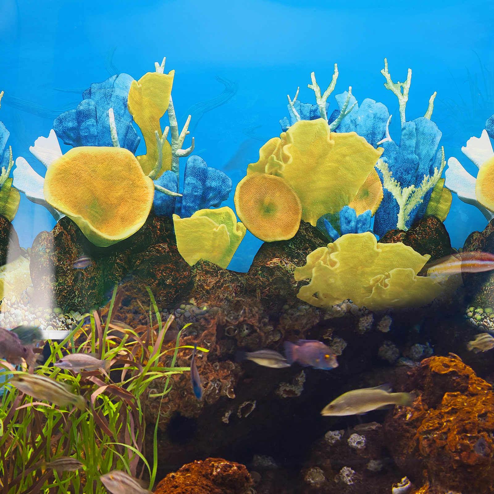 Fish Tank Paper 3D Wallpaper A – Planted Aquarium Wallpaper Bewertung und Preis
