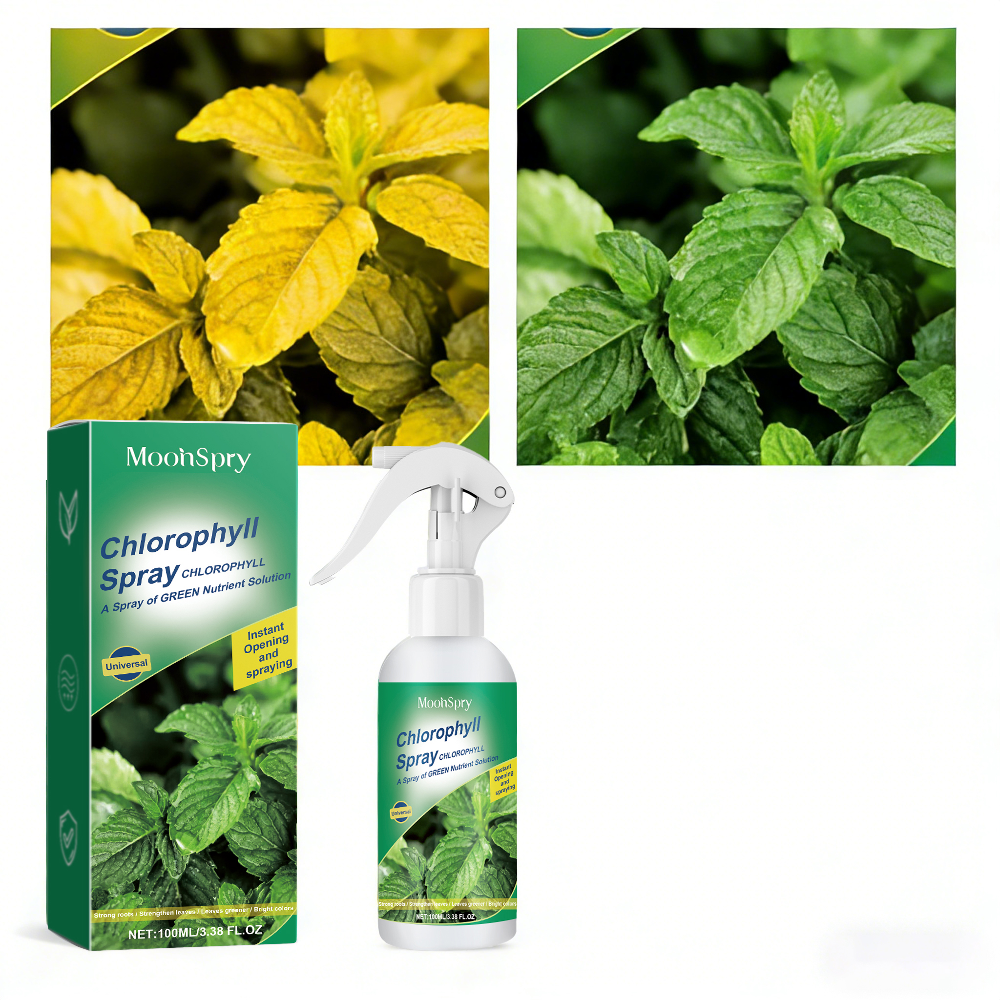 Moonspry Plant Chlorophyll Fol – Liquid Fertilizer All In Bewertung und Preis
