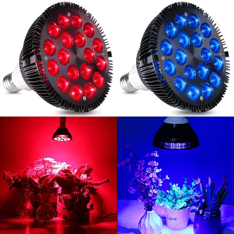NEW Hot Sale LED Fish Tank Lig – Aquarium Plants For Sale Bewertung und Preis