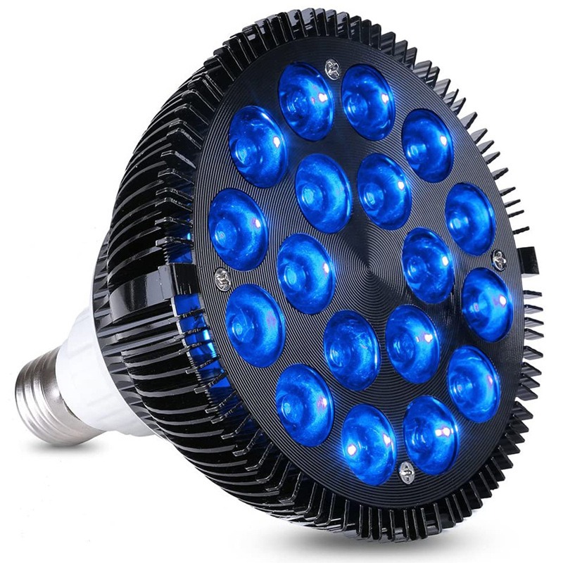 NEW Hot Sale LED Fish Tank Lig – Aquarium Plants For Sale Bewertung und Preis