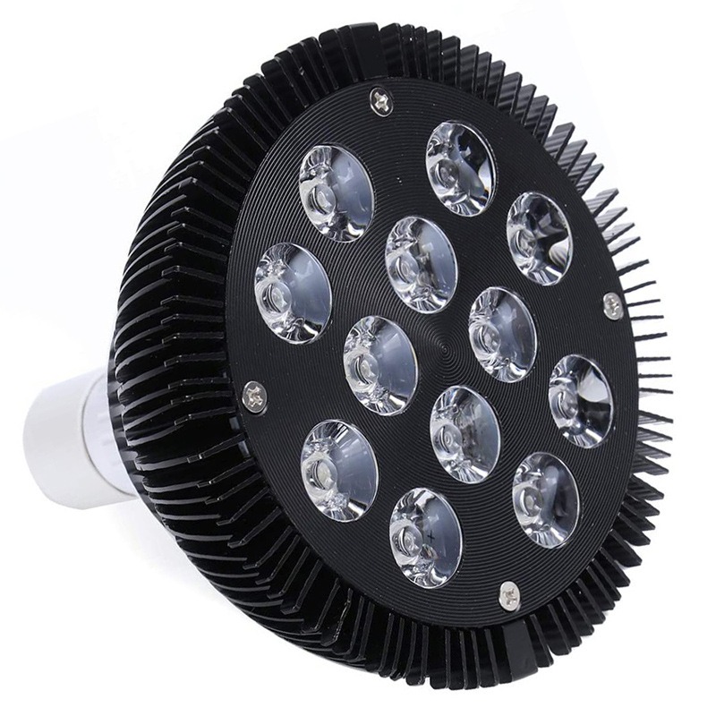 NEW Hot Sale LED Fish Tank Lig – Aquarium Plants For Sale Bewertung und Preis