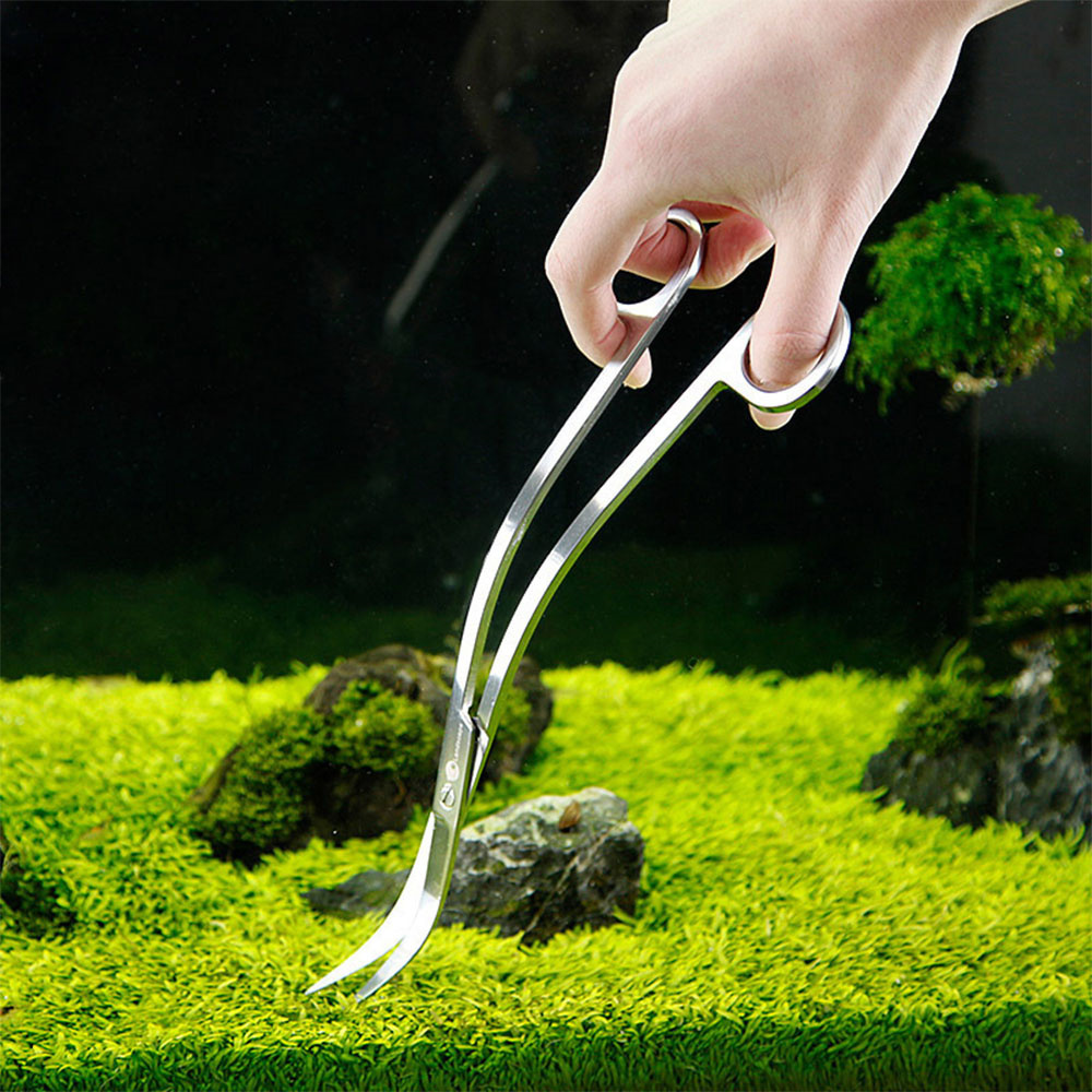 Aquarium Accessories Hard Stai – Planted Aquarium Products Bewertung und Preis