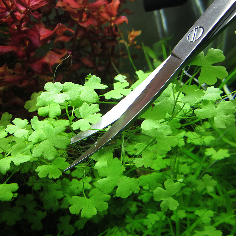 Aquarium Accessories Hard Stai – Planted Aquarium Products Bewertung und Preis